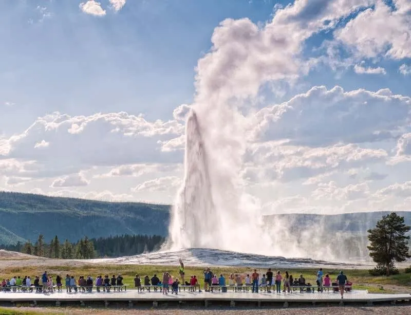 yellowstone national park in june