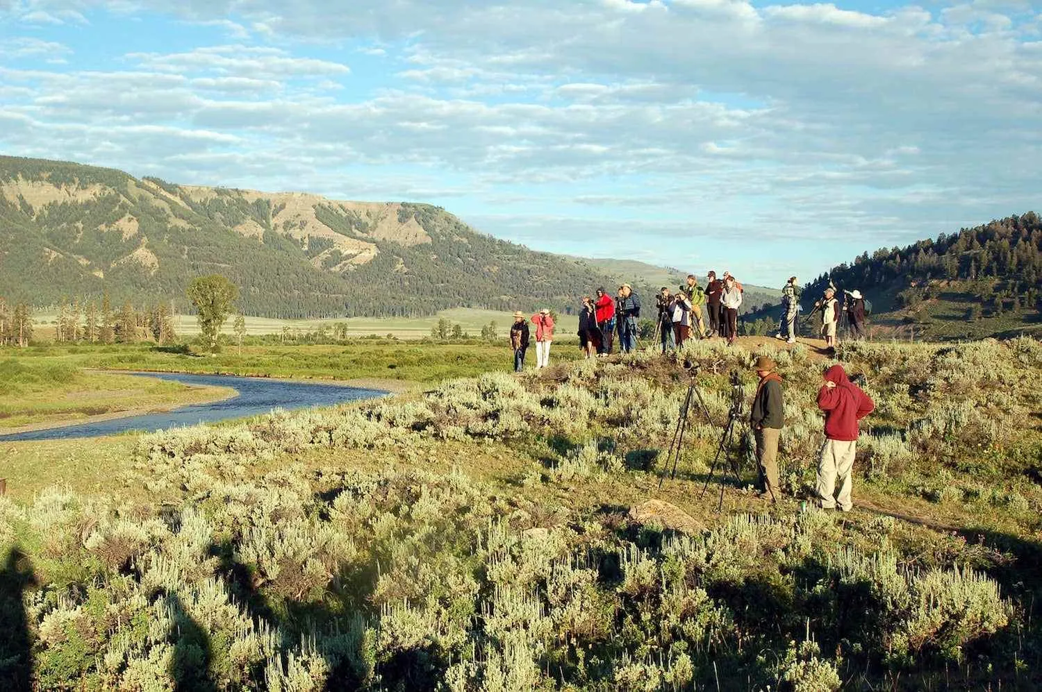 yellowstone national park in march