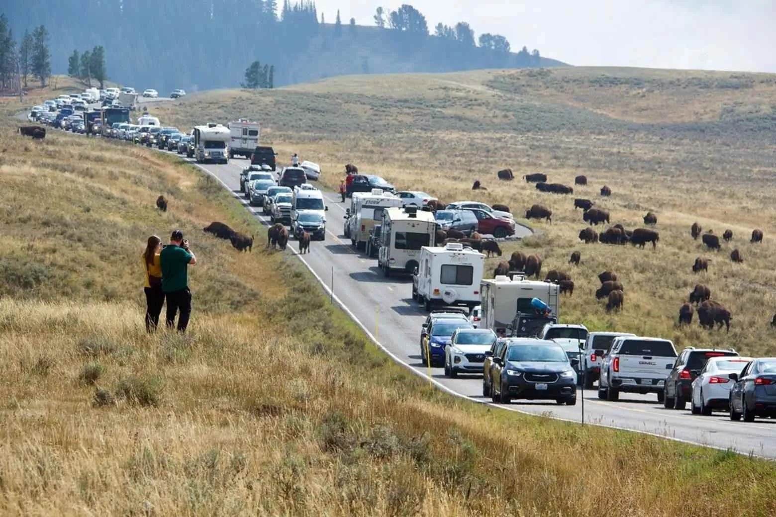 yellowstone national park in may