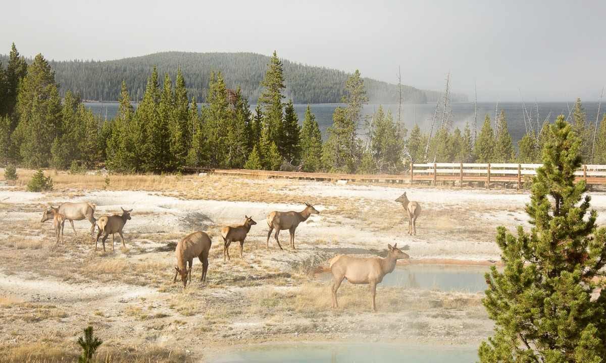 yellowstone national park in october