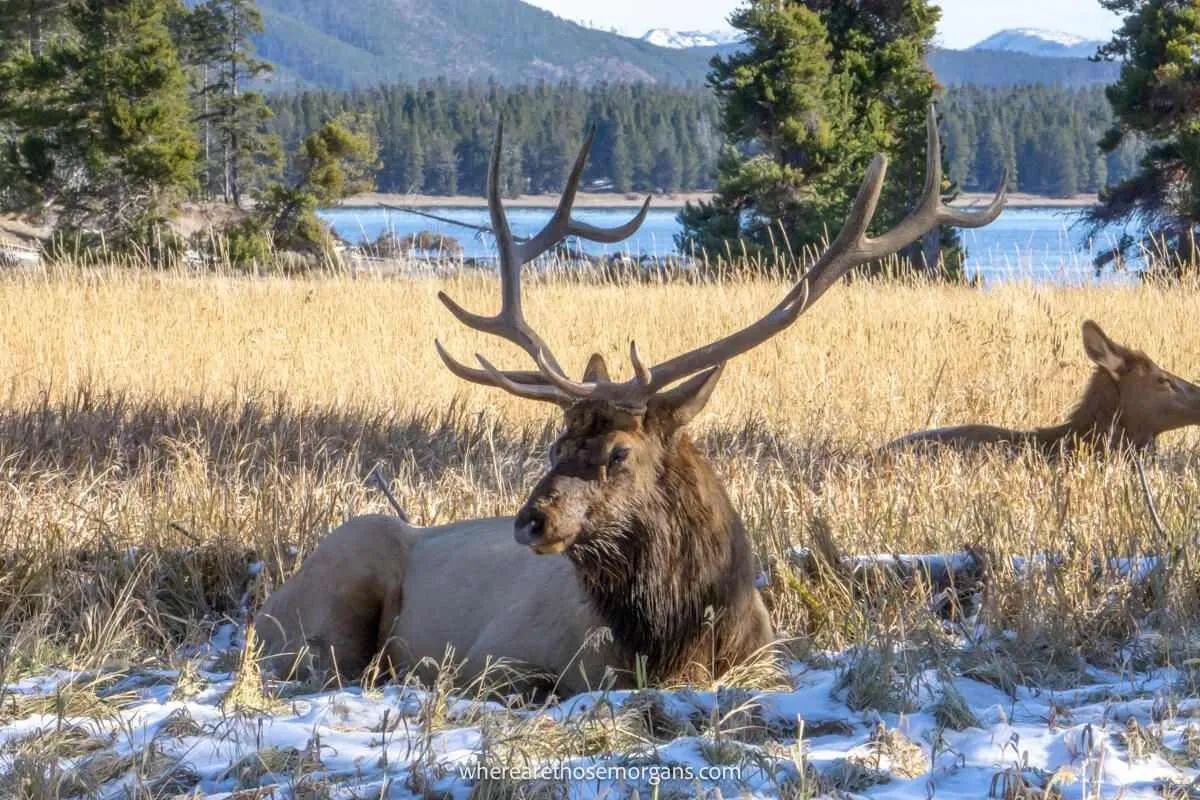 yellowstone national park in october