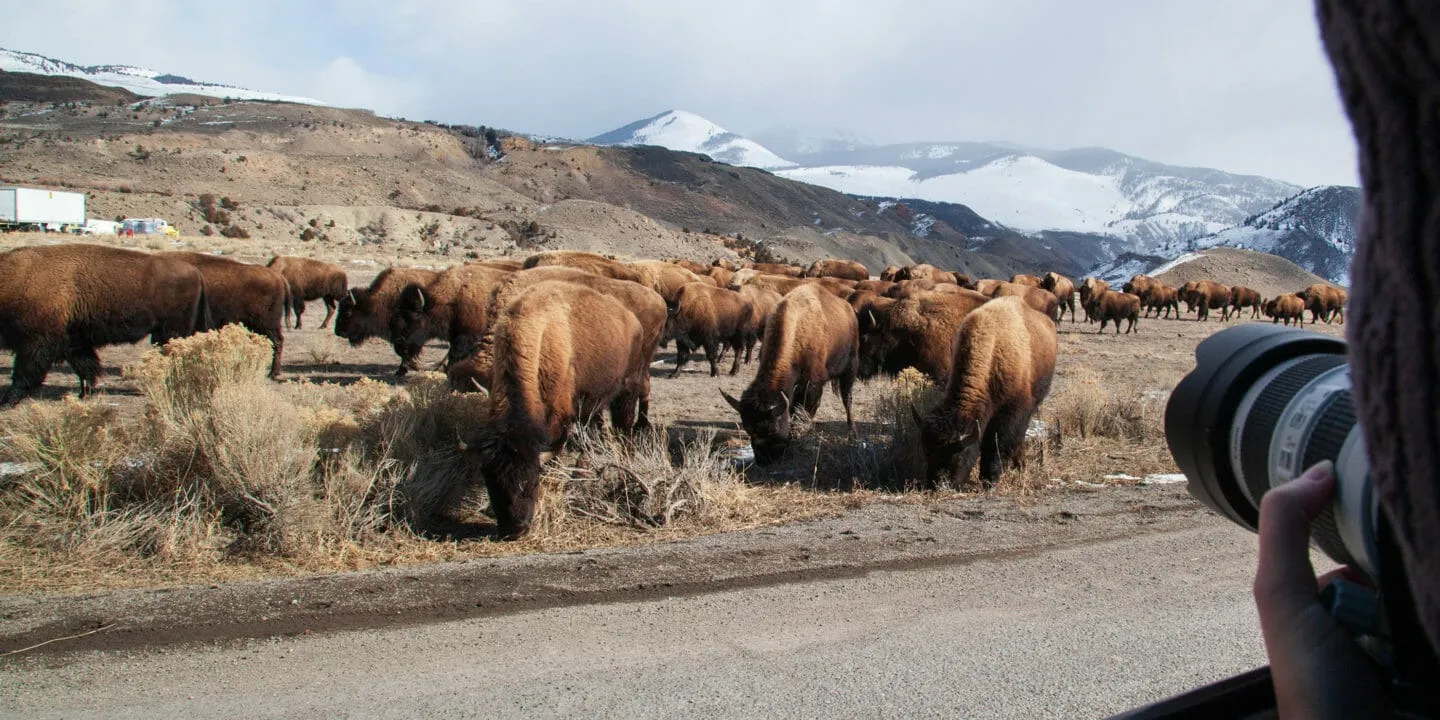 yellowstone national park in september