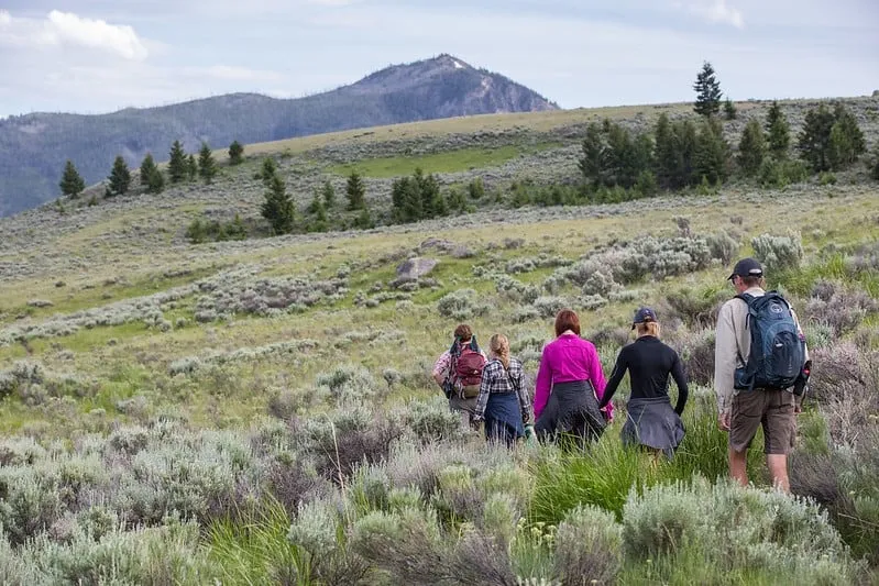yellowstone national park summer