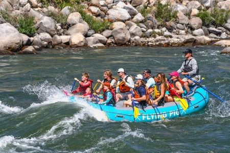 yellowstone national park summer