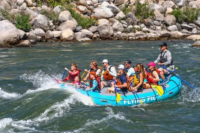 yellowstone national park summer