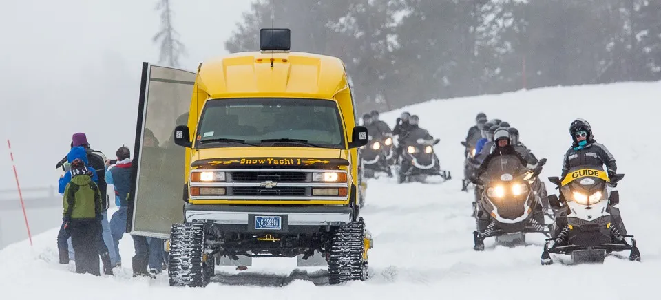 yellowstone national park tours