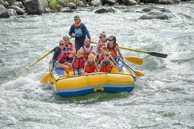 yellowstone national park tours