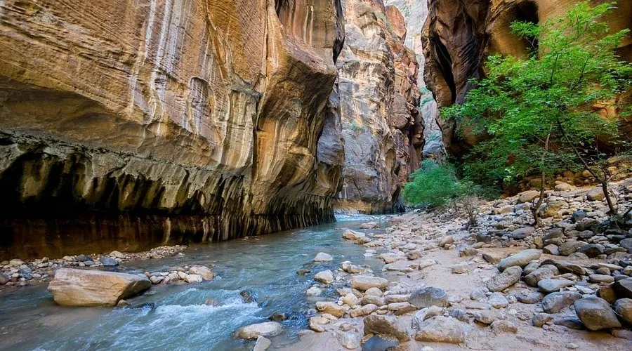 best family-friendly hiking trails