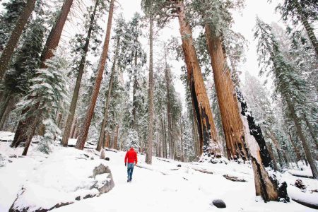 winter hiking trails in the USA