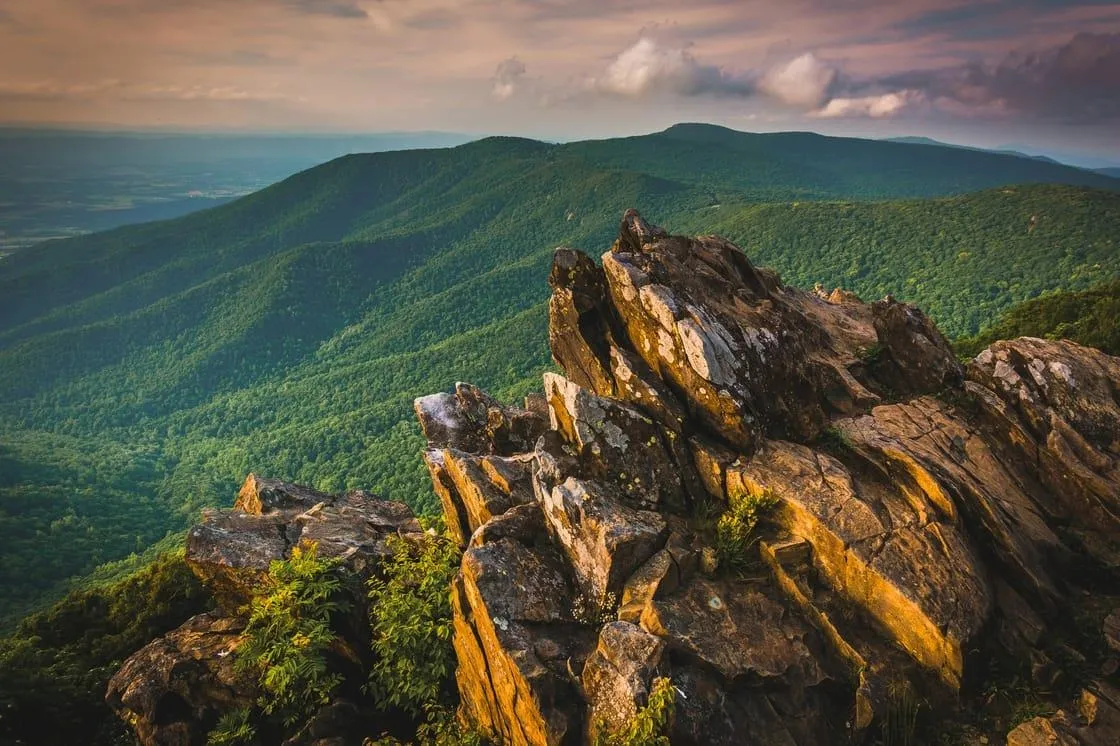 National Park Week wildlife guide