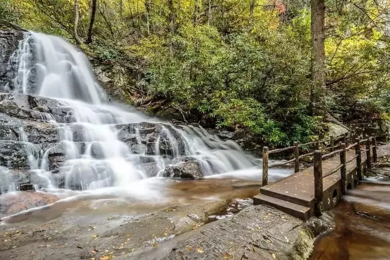 National Park Week wildlife guide