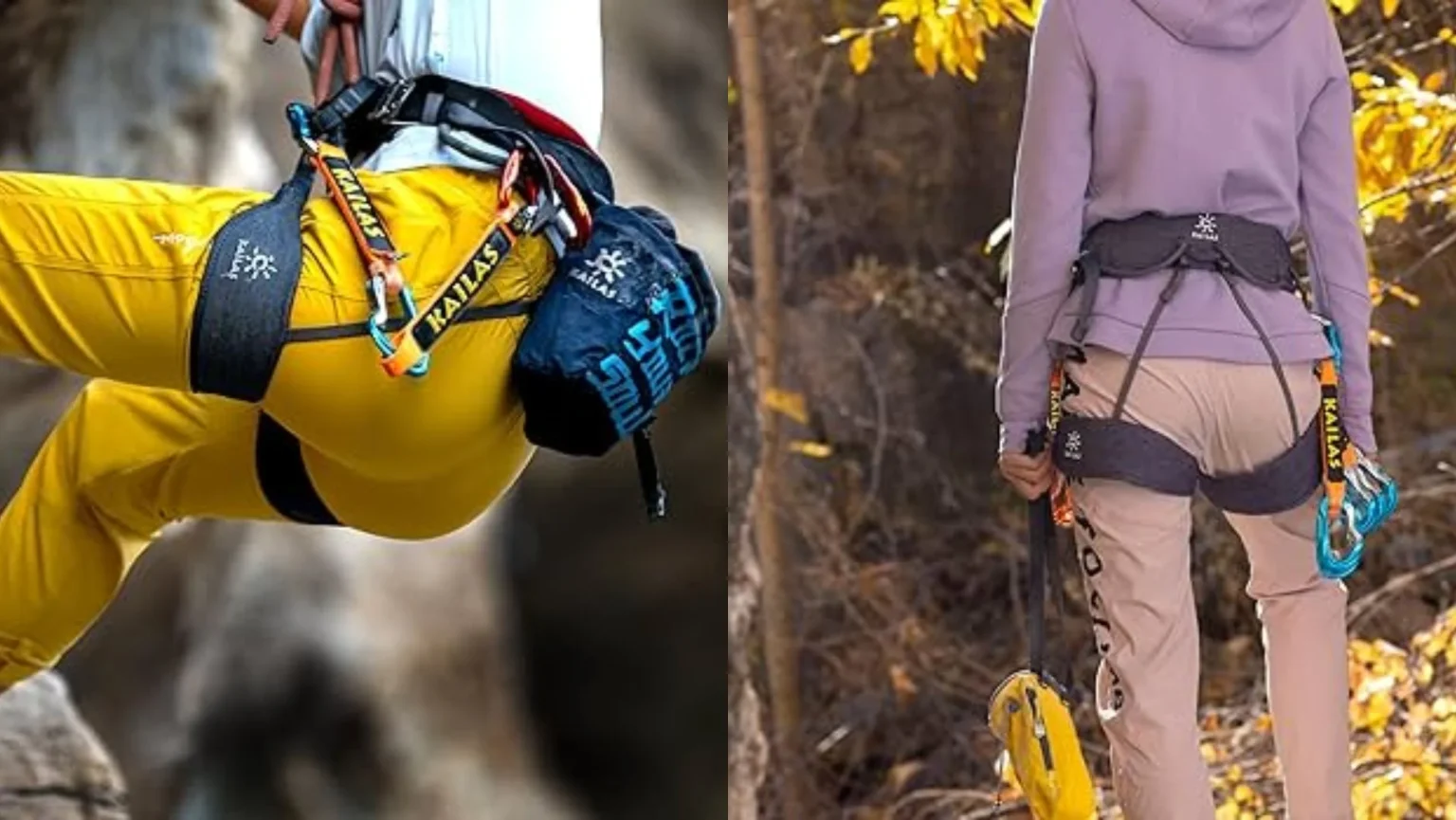 rock climbing harness