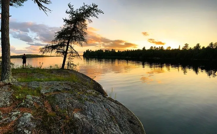 dog friendly national parks