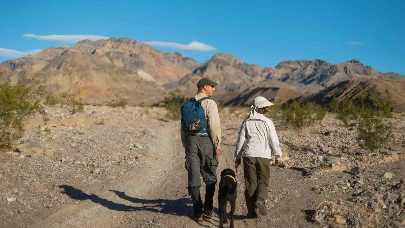 dog friendly national parks