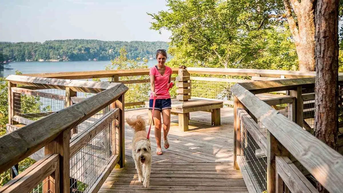 dog friendly national parks