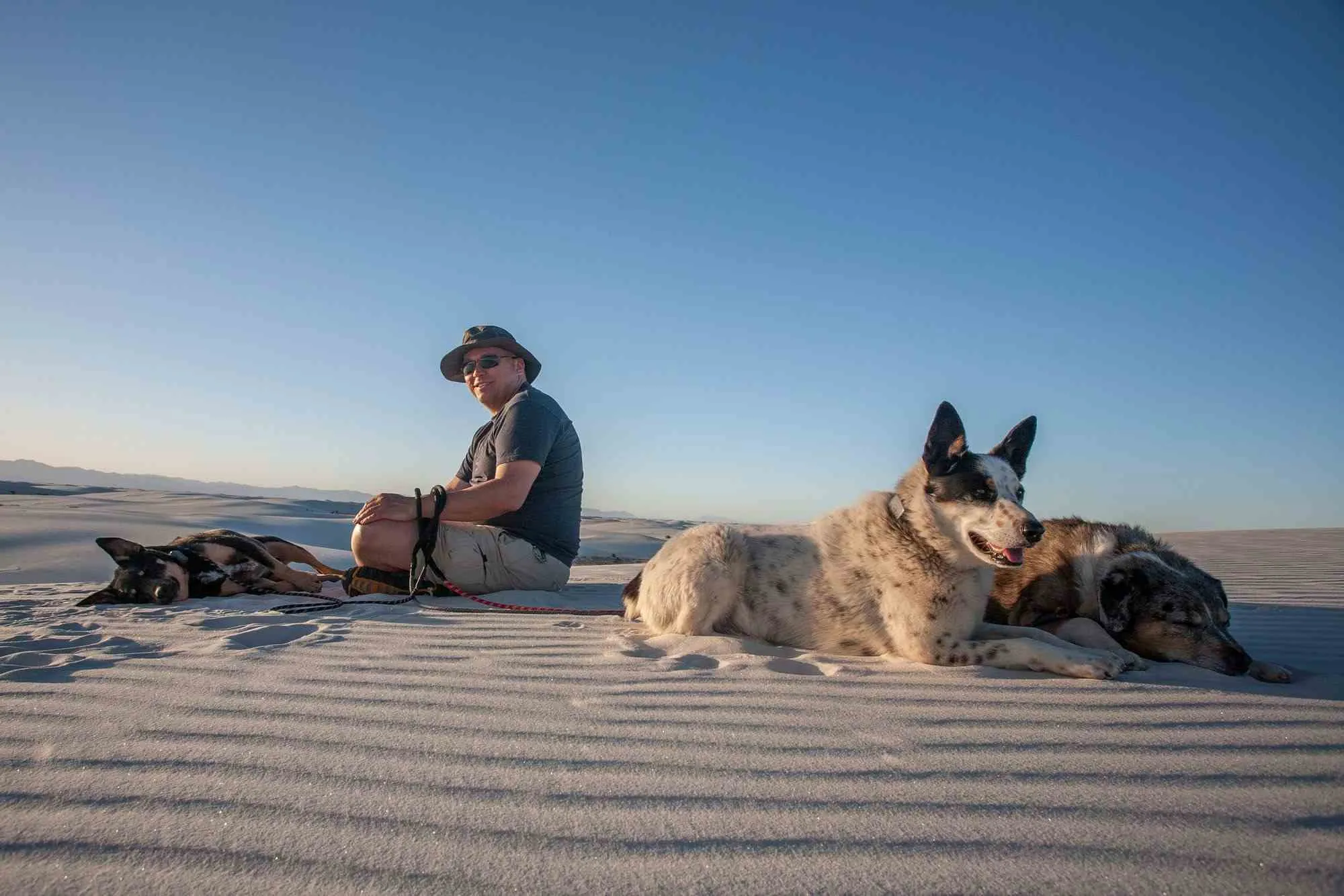 dog friendly national parks