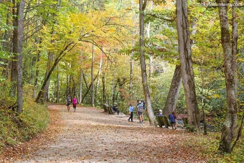 easy hiking trails