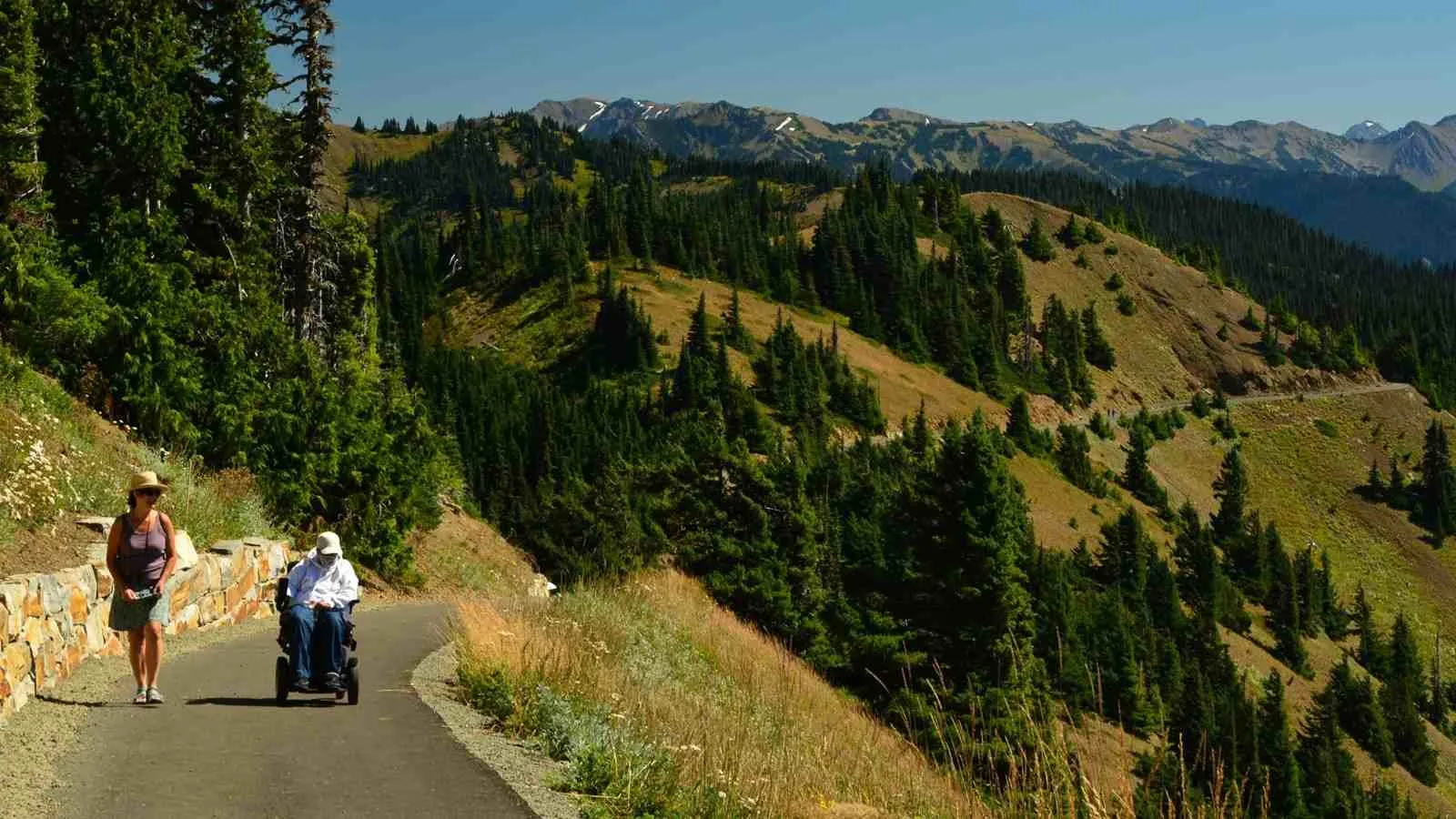 easy hiking trails