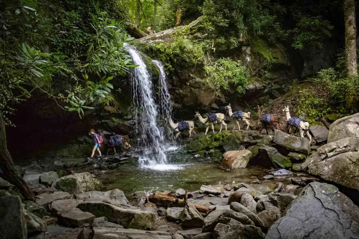 easy hiking trails