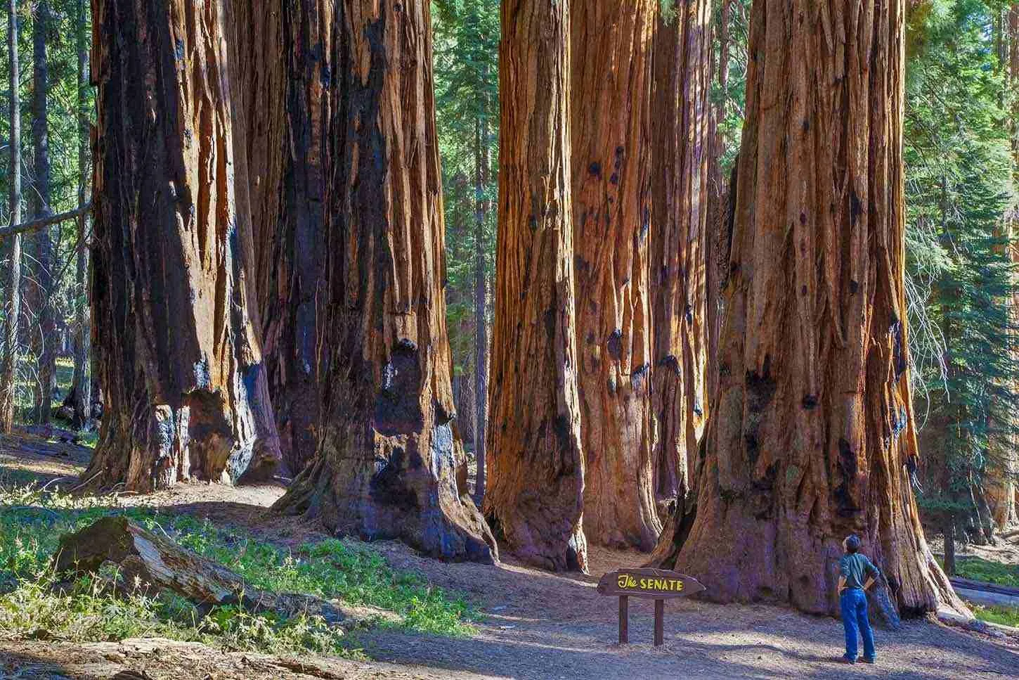 easy hiking trails