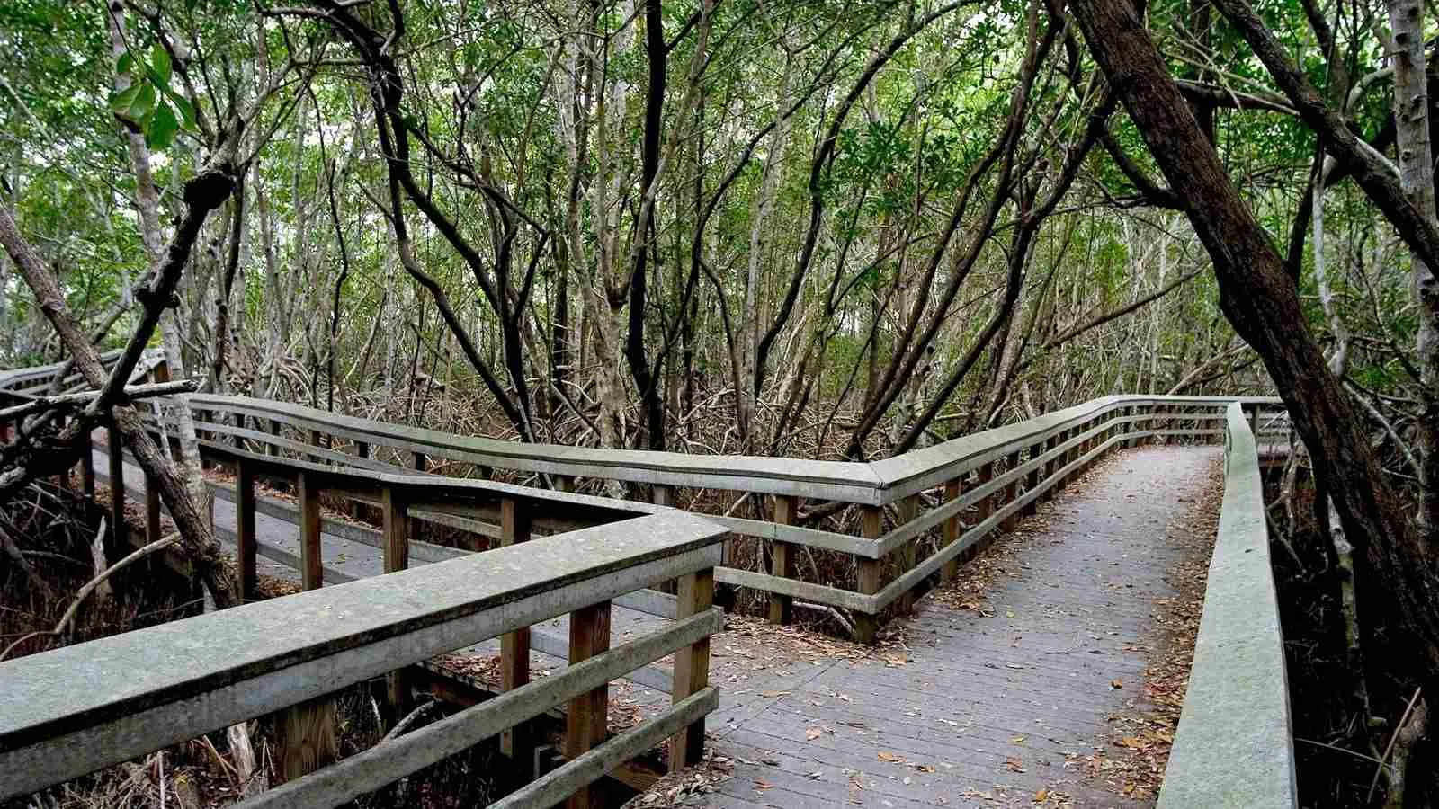 easy hiking trails