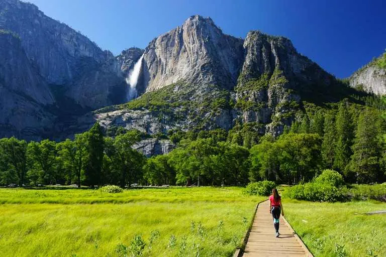 easy hiking trails