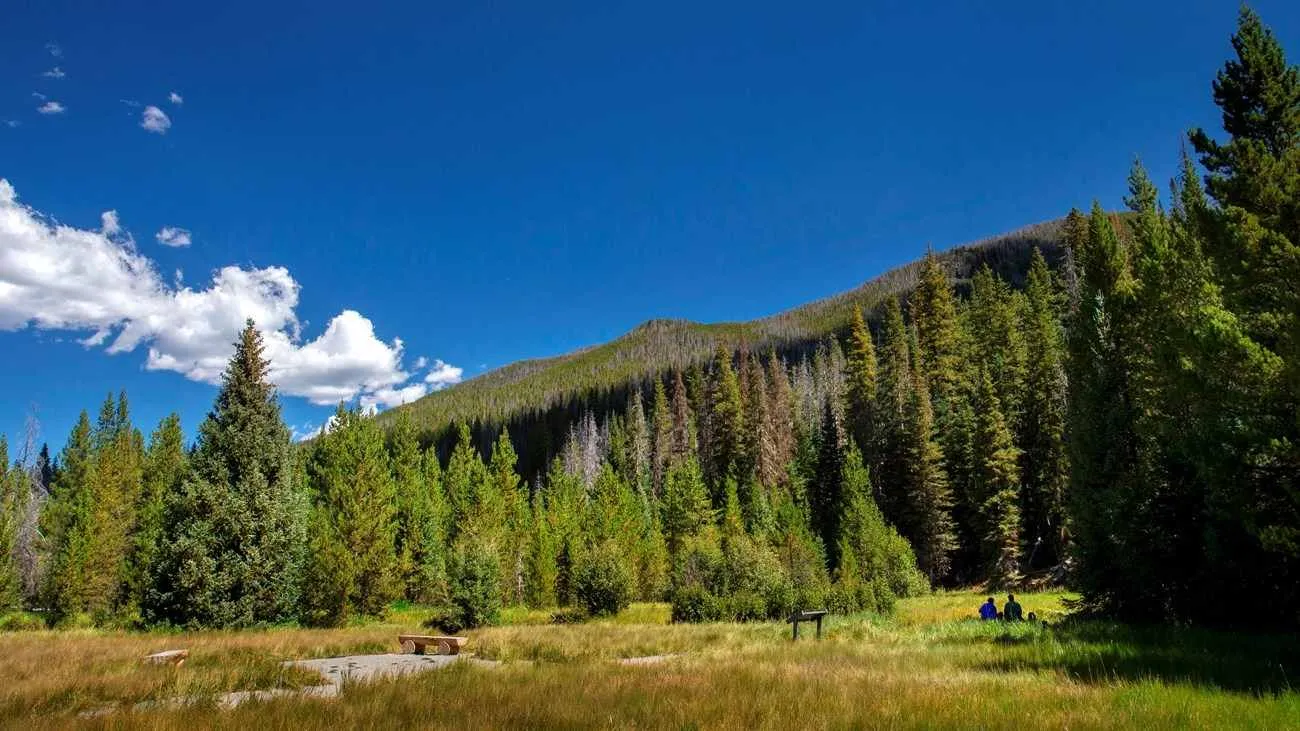 easy hiking trails