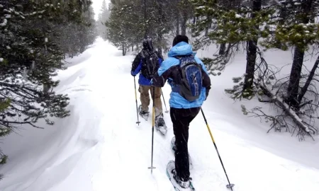 worst time to visit yellowstone