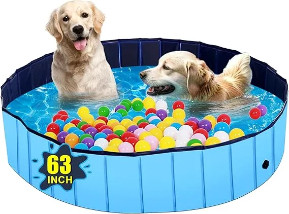 dog swimming pools