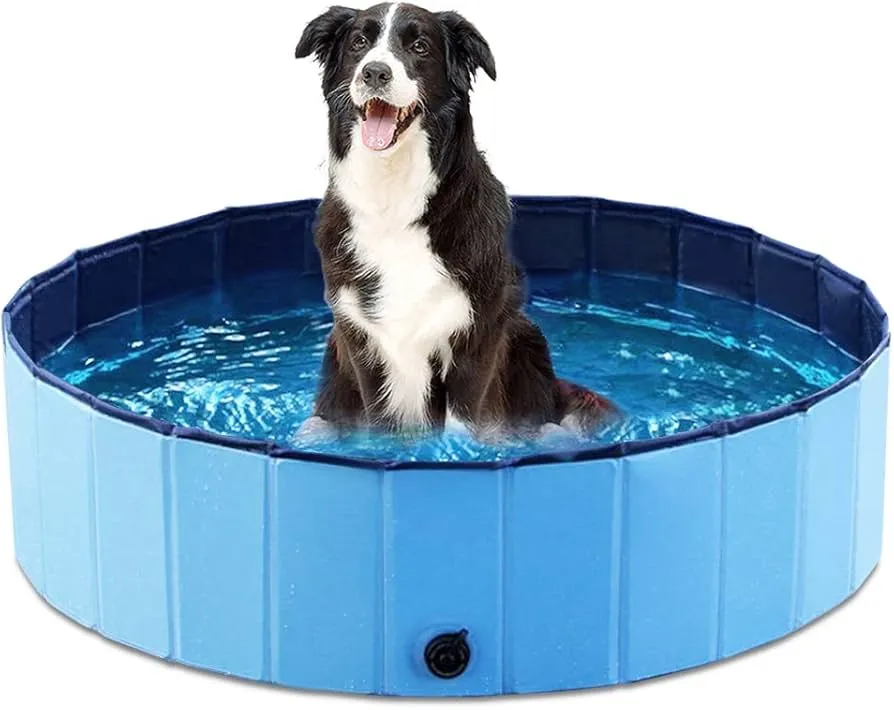 dog swimming pools