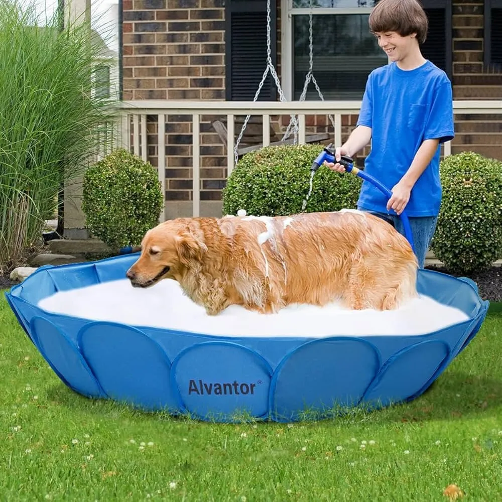 dog swimming pools