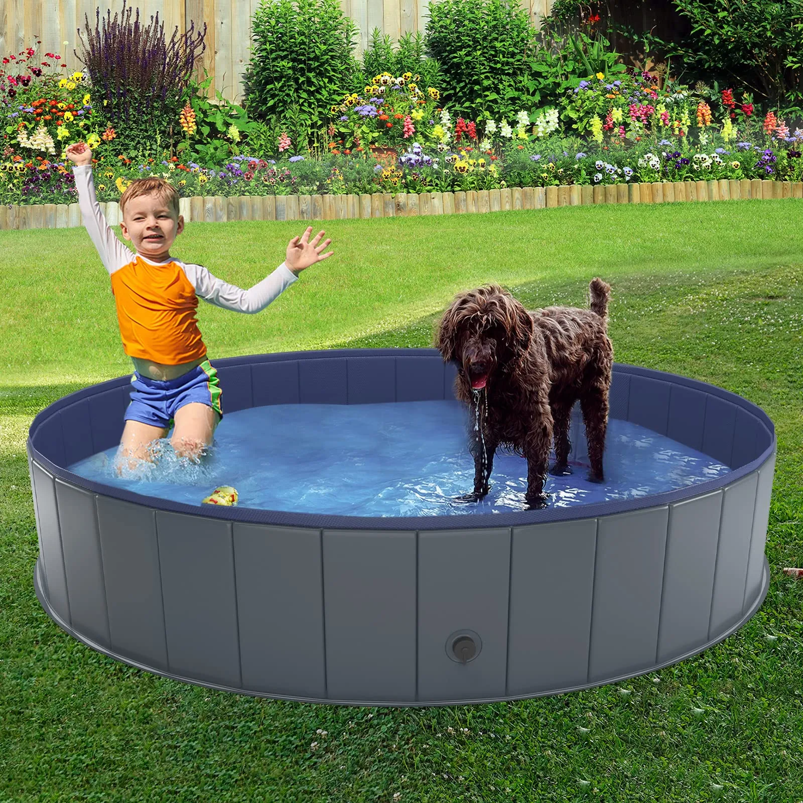 dog swimming pools