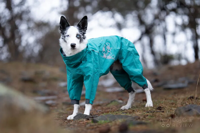 dog winter coat