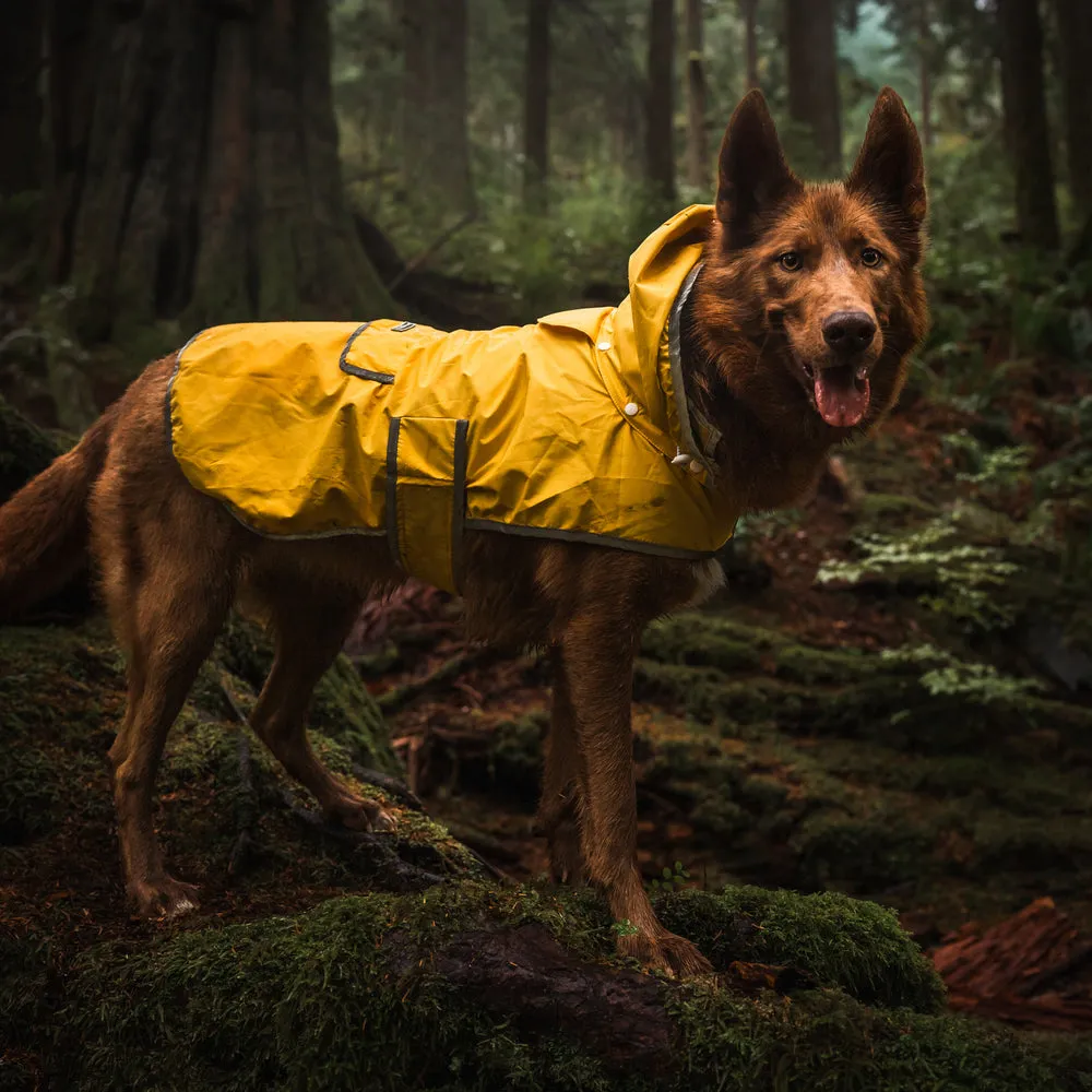 dog winter coat