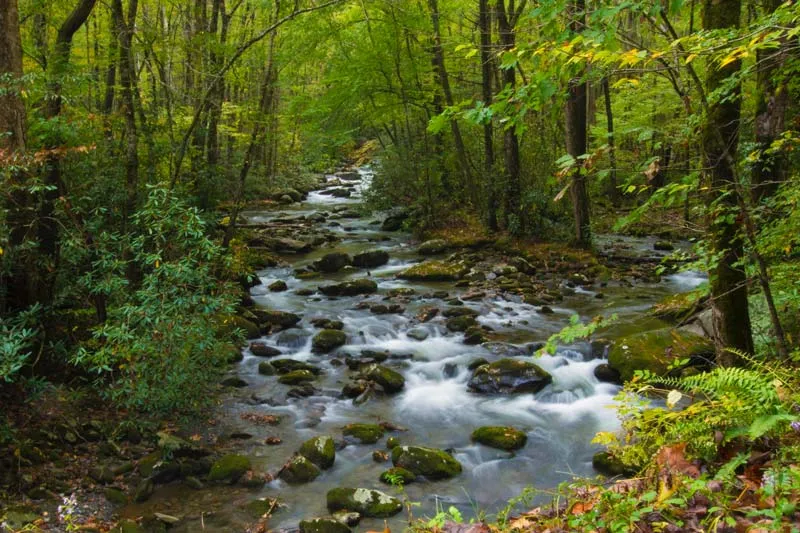 best hiking trails in us