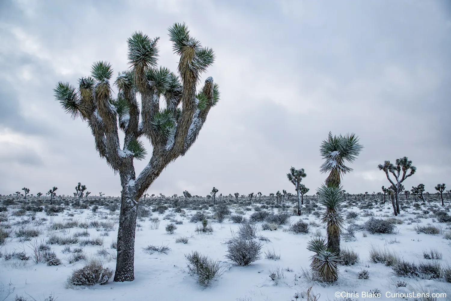 best national parks to visit in december