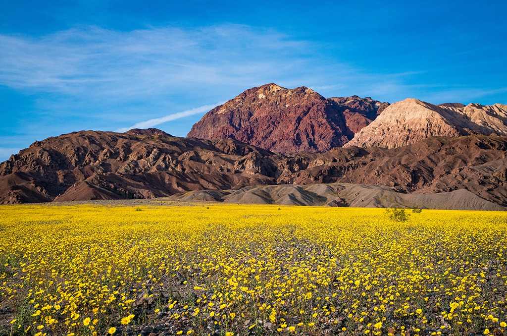 best national parks to visit in spring