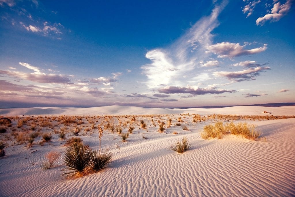 best national parks to visit in spring