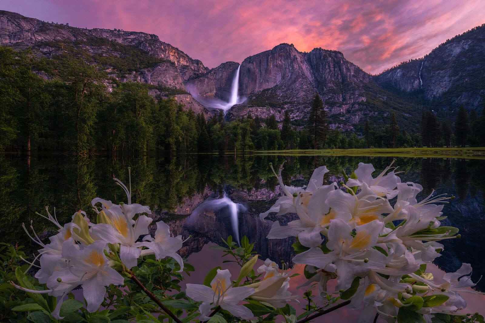 best national parks to visit in spring