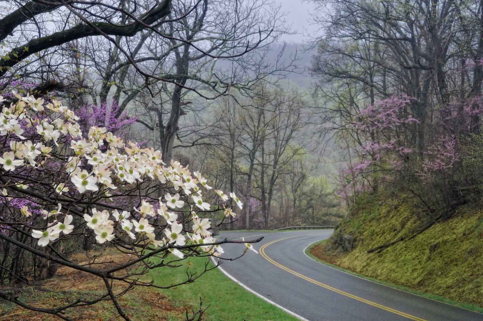 best national parks to visit in spring