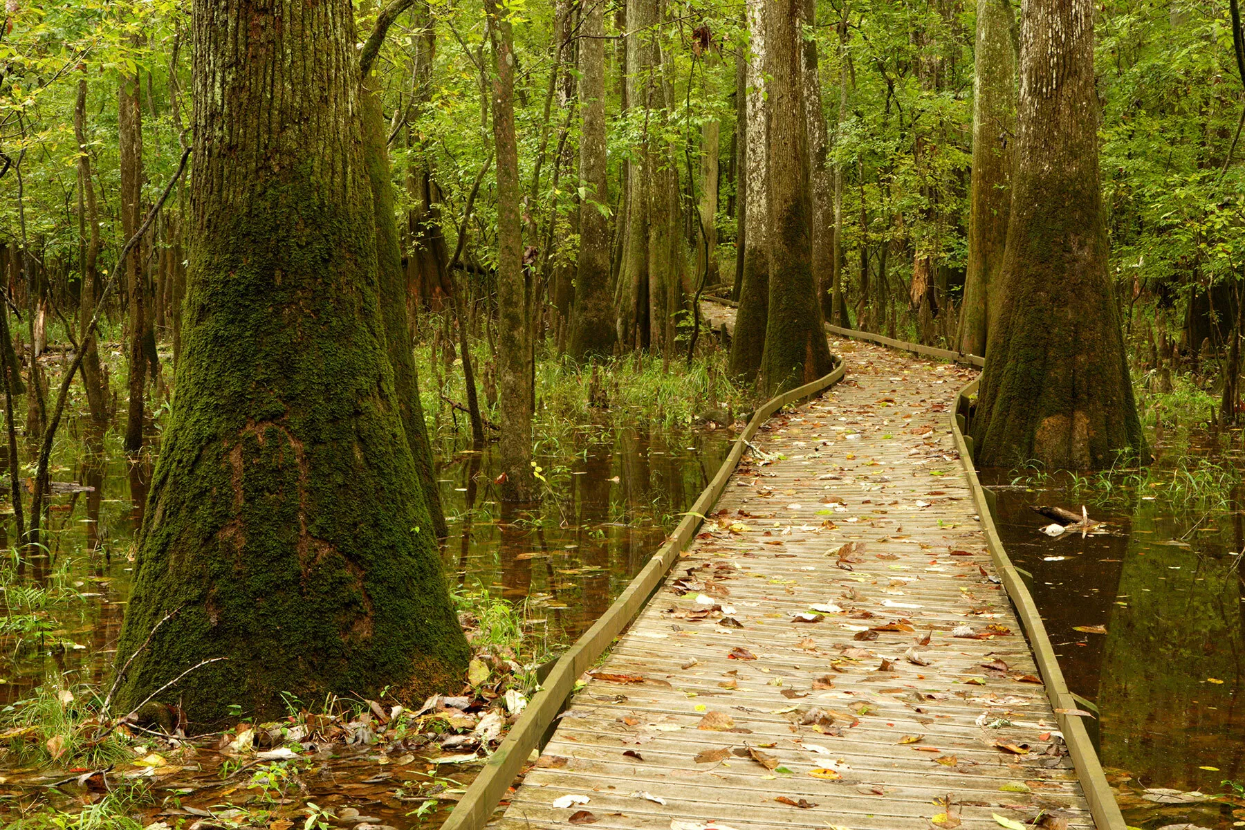 best national parks to visit in the fall