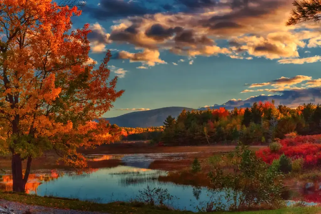 best national parks to visit in the fall