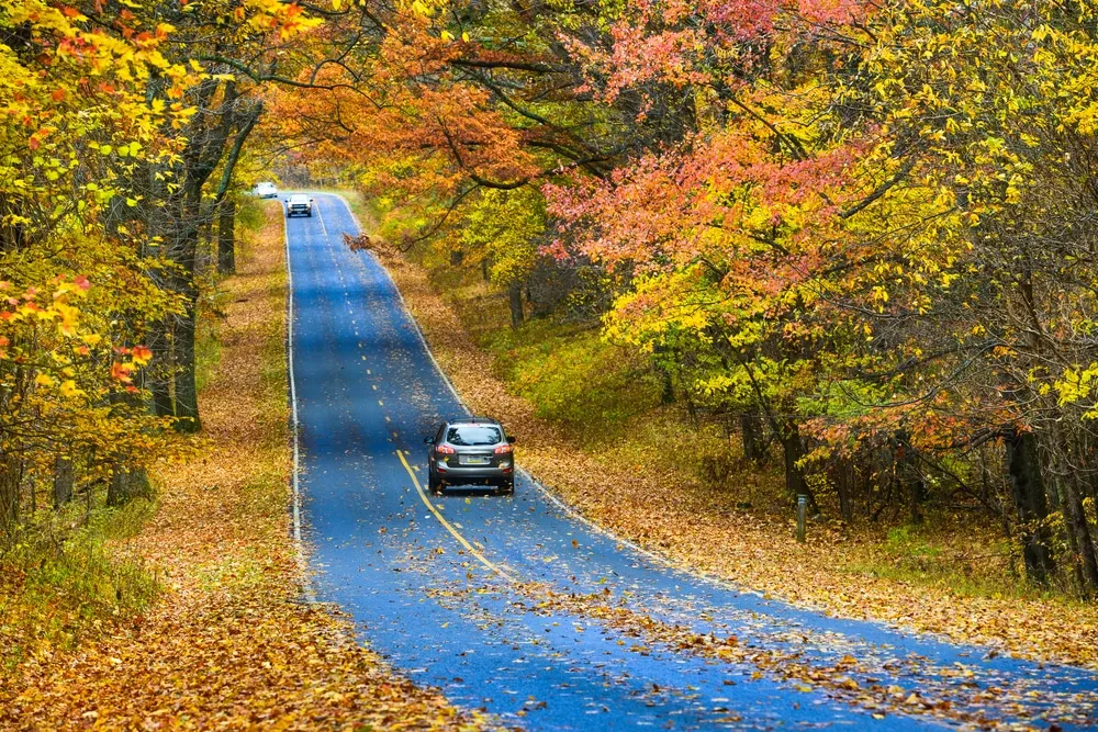 best national parks to visit in the fall