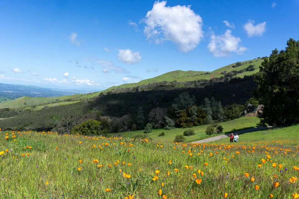 san francisco to yosemite national park