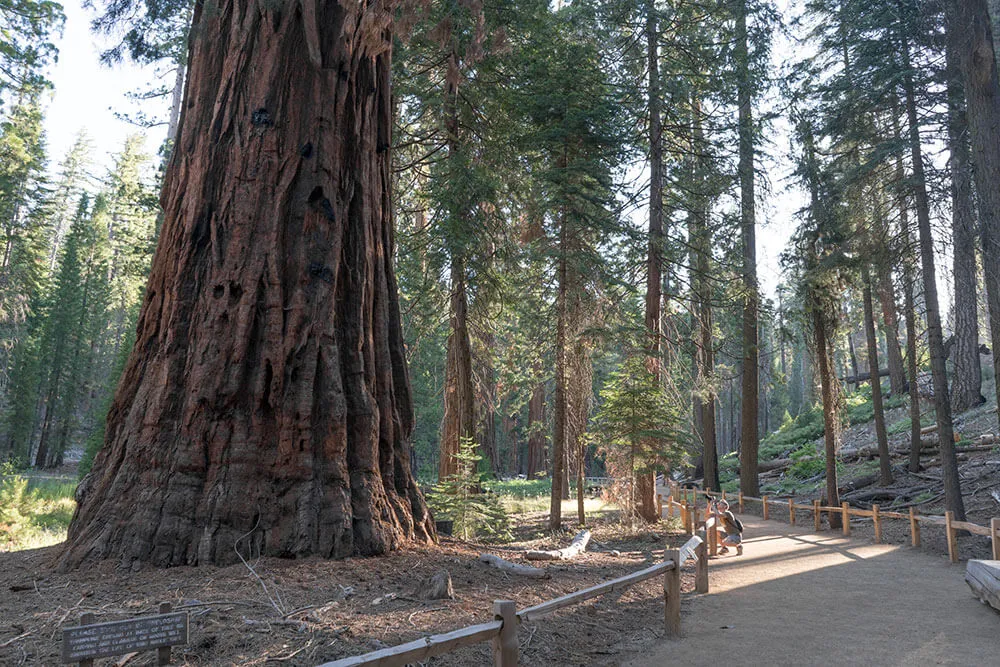 yosemite national park hiking