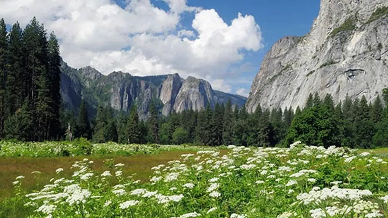 yosemite national park weather