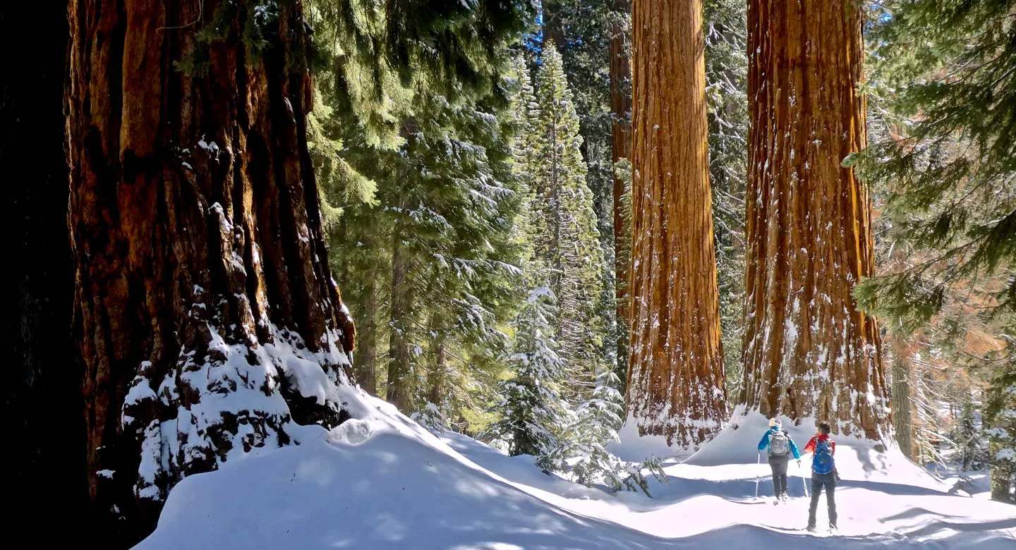 yosemite national park winter